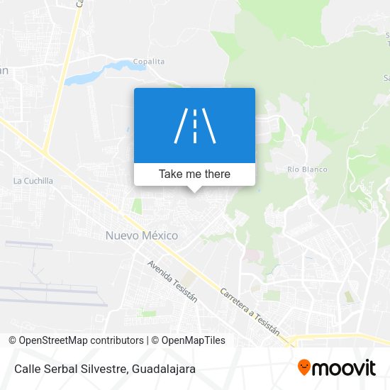 Calle Serbal Silvestre map