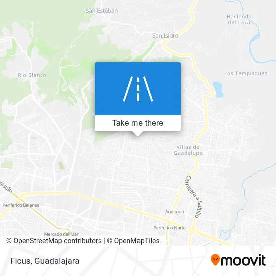 Ficus map