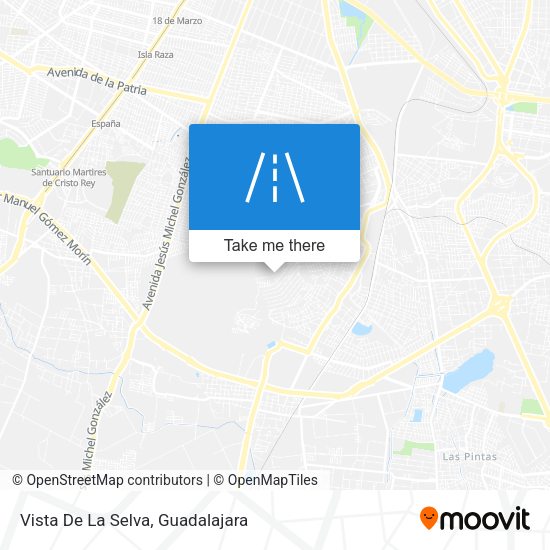 Vista De La Selva map
