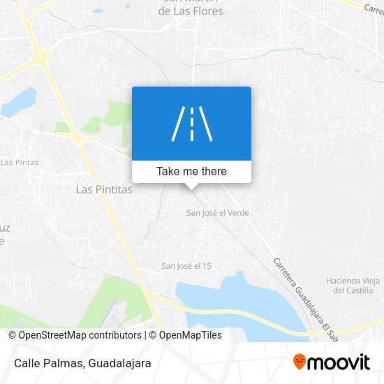 Mapa de Calle Palmas
