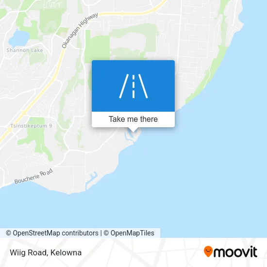 Wiig Road map