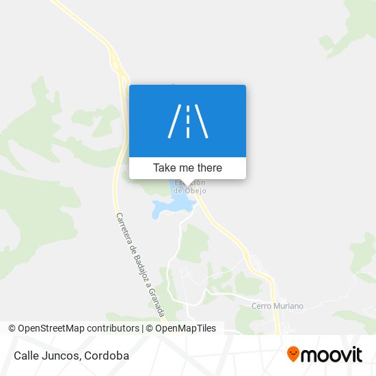 Calle Juncos map