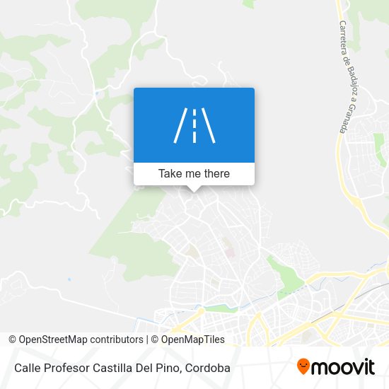 Calle Profesor Castilla Del Pino map