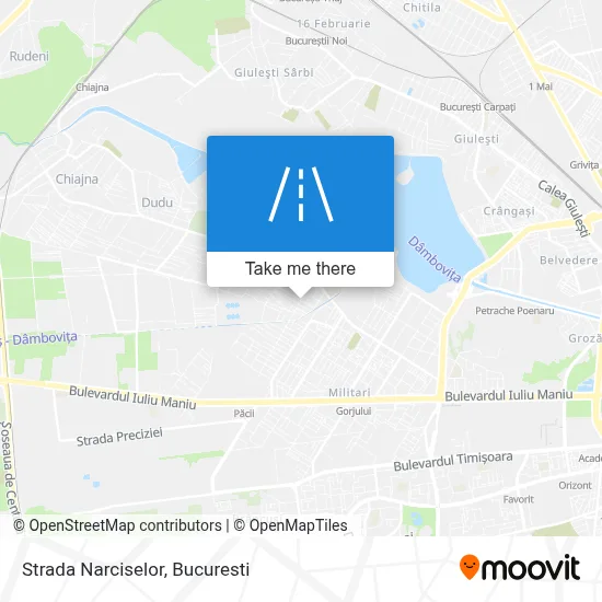 Strada Narciselor map