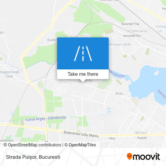 Strada Puișor map