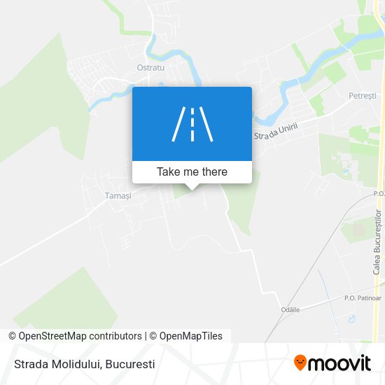 Strada Molidului map