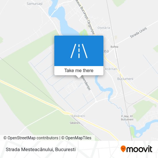 Strada Mesteacănului map