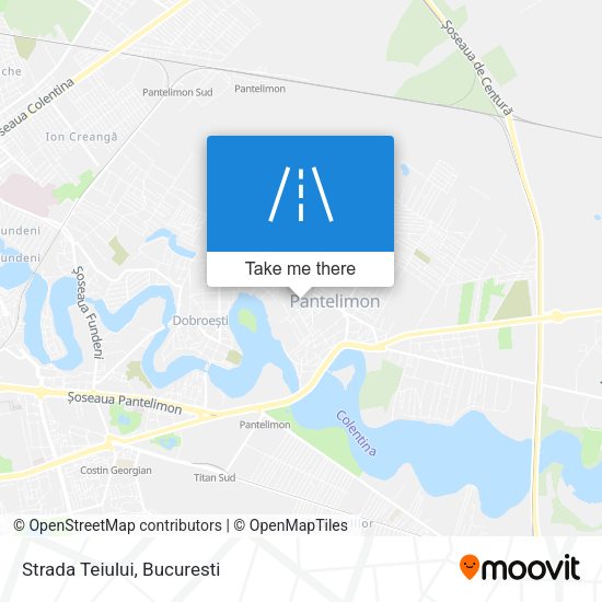 Strada Teiului map