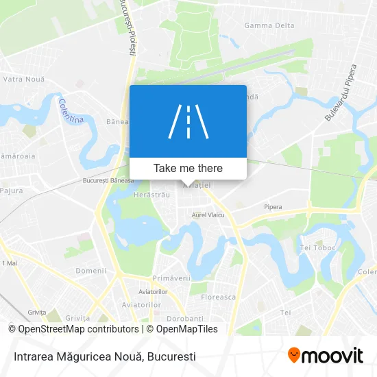 Intrarea Măguricea Nouă map
