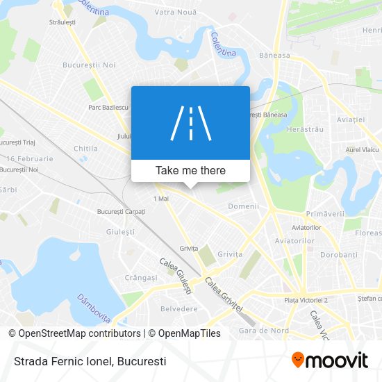 Strada Fernic Ionel map