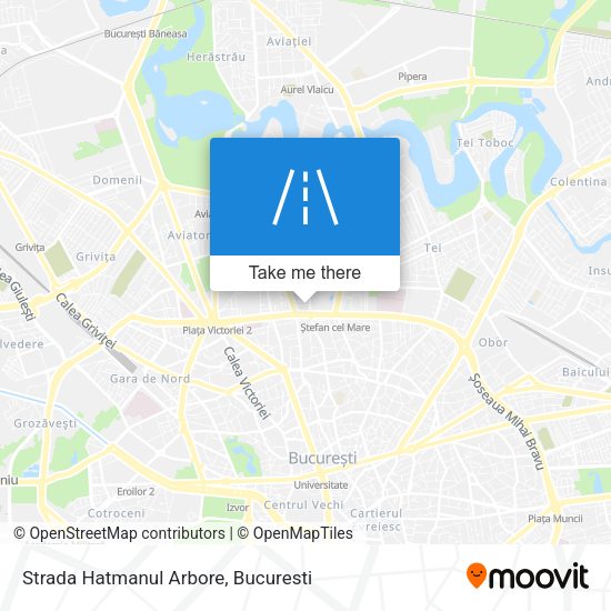 Strada Hatmanul Arbore map