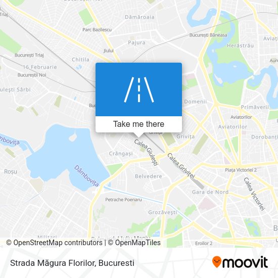 Strada Măgura Florilor map