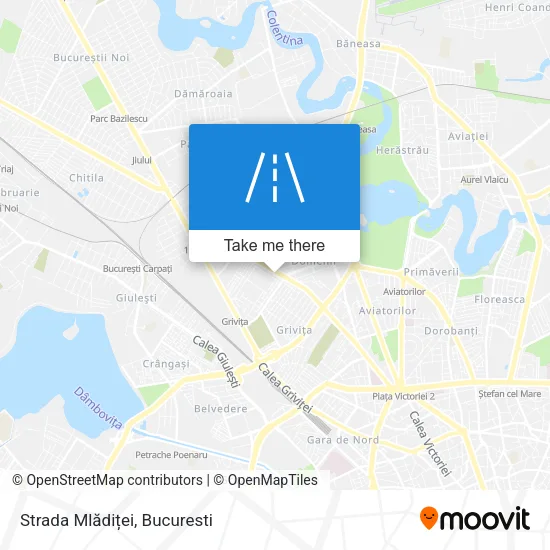 Strada Mlădiței map