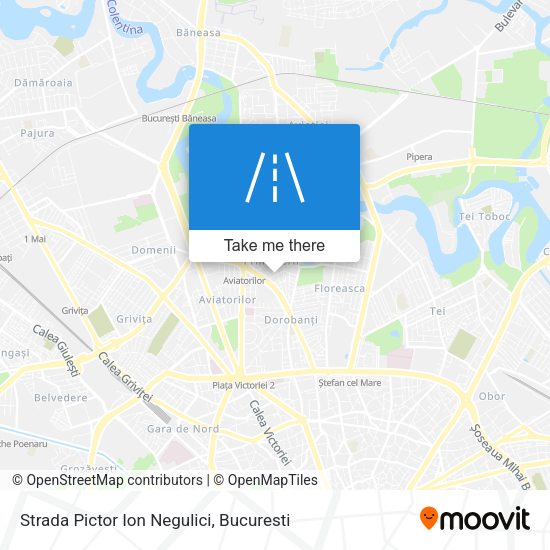 Strada Pictor Ion Negulici map