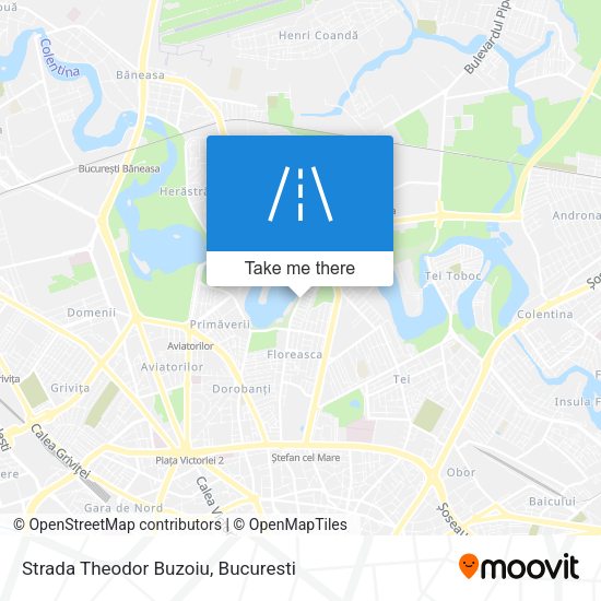 Strada Theodor Buzoiu map