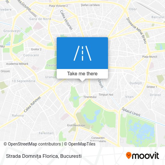 Strada Domnița Florica map
