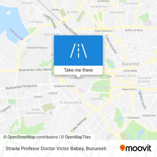 Strada Profesor Doctor Victor Babeș map