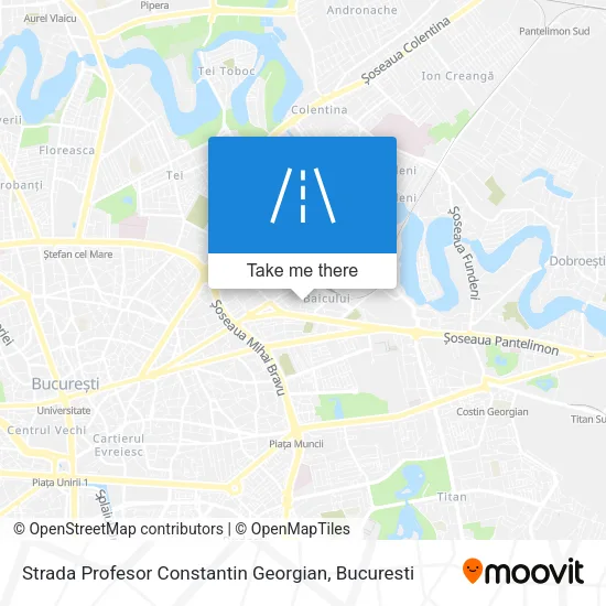 Strada Profesor Constantin Georgian map