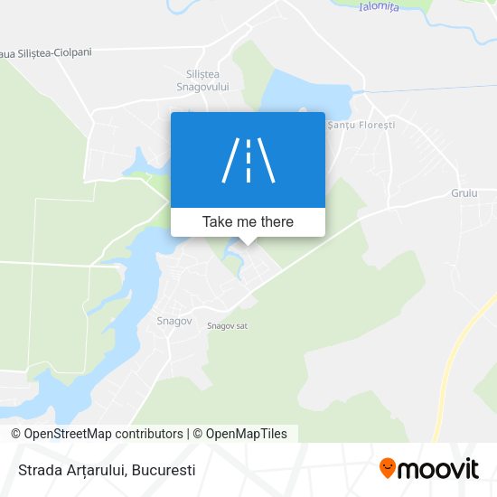 Strada Arțarului map