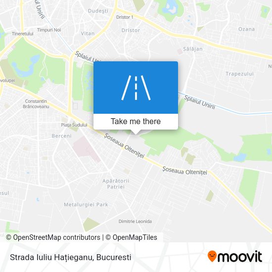 Strada Iuliu Hațieganu map