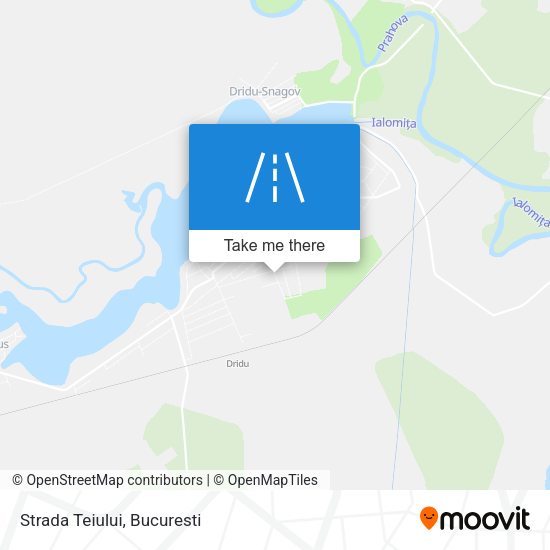 Strada Teiului map