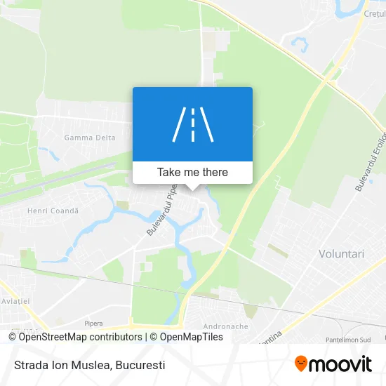 Strada Ion Muslea map