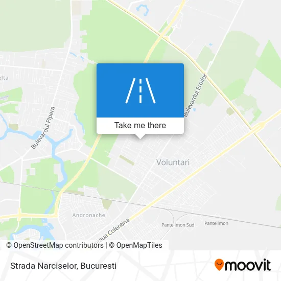 Strada Narciselor map