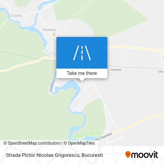 Strada Pictor Nicolae Grigorescu map