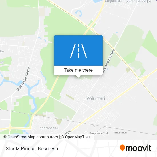 Strada Pinului map