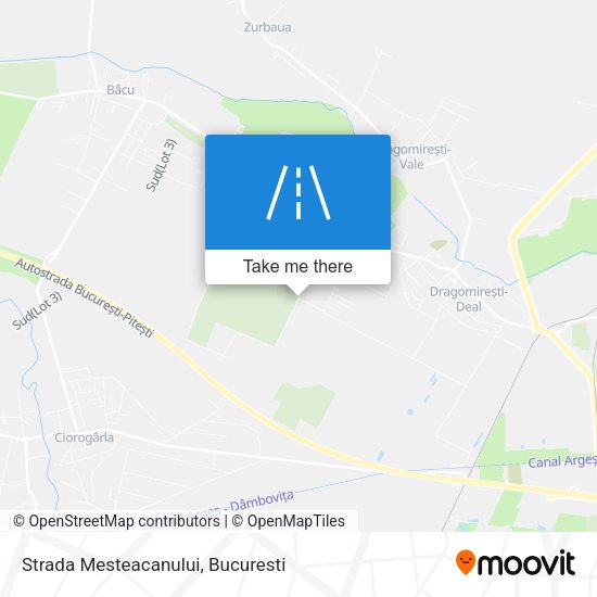 Strada Mesteacanului map