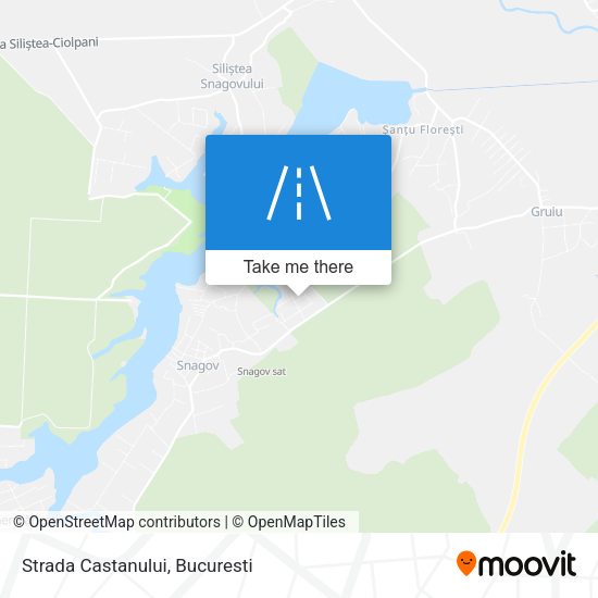 Strada Castanului map