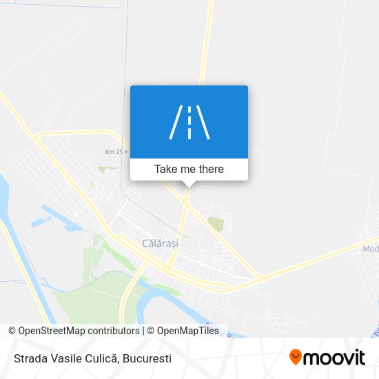 Strada Vasile Culică map