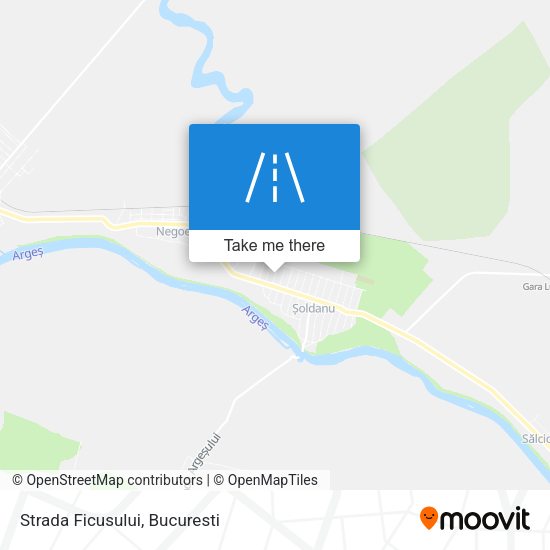Strada Ficusului map