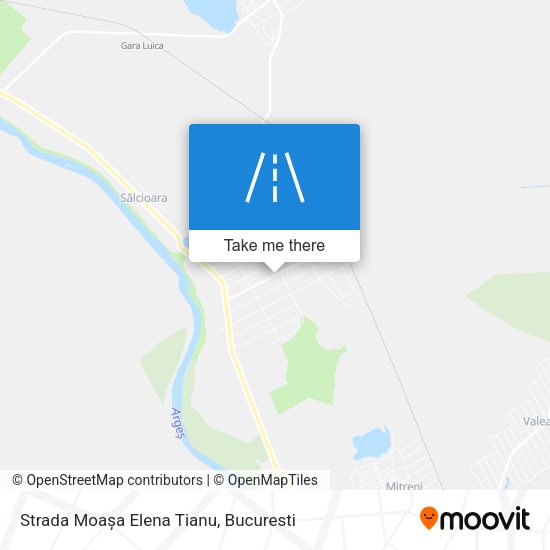 Strada Moașa Elena Tianu map