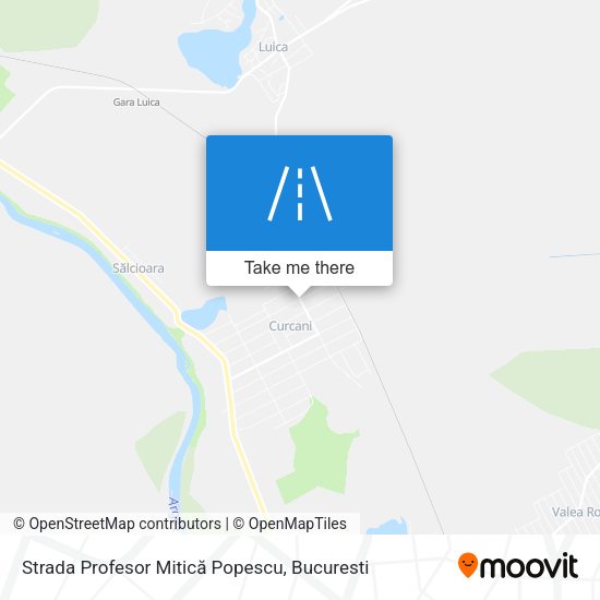 Strada Profesor Mitică Popescu map
