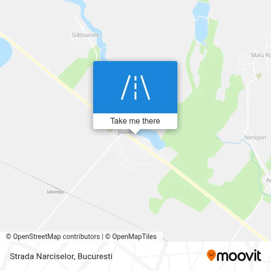 Strada Narciselor map