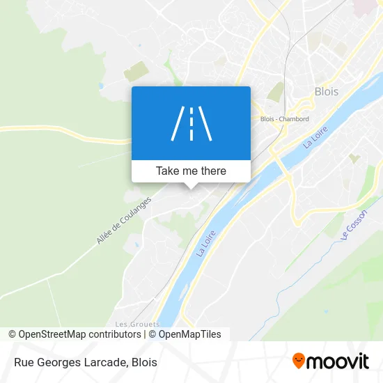 Rue Georges Larcade map