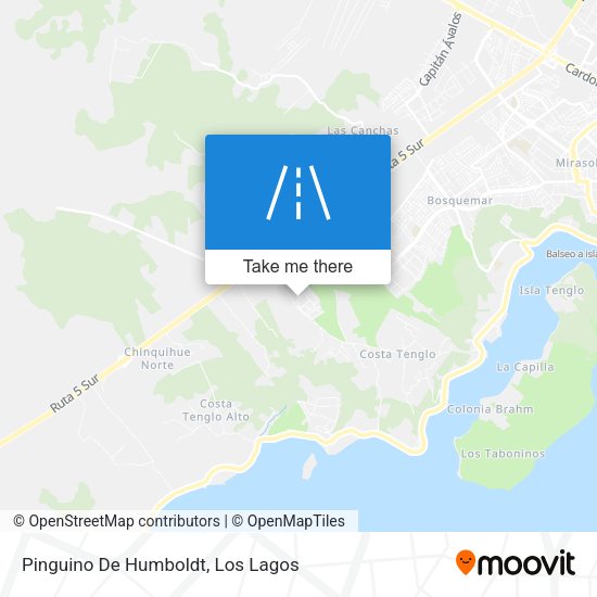 Pinguino De Humboldt map