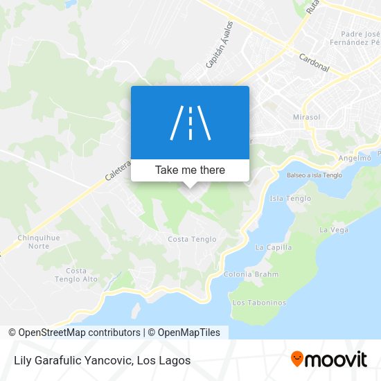 Lily Garafulic Yancovic map