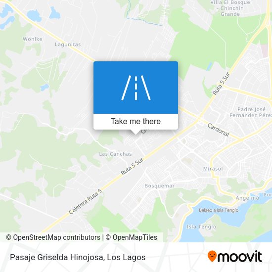 Pasaje Griselda Hinojosa map