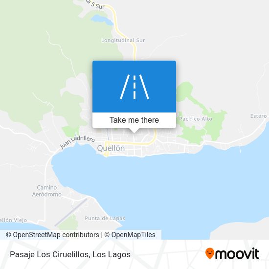 Pasaje Los Ciruelillos map