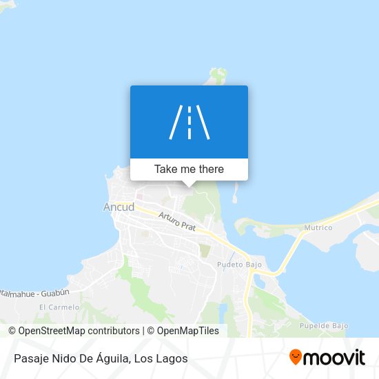 Pasaje Nido De Águila map