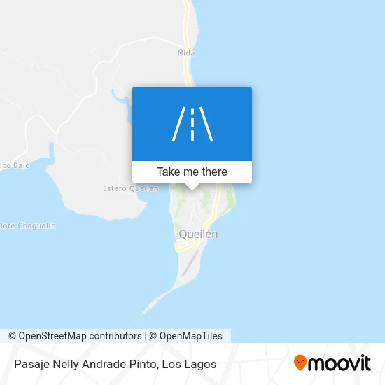 Pasaje Nelly Andrade Pinto map