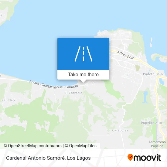 Mapa de Cardenal Antonio Samoré
