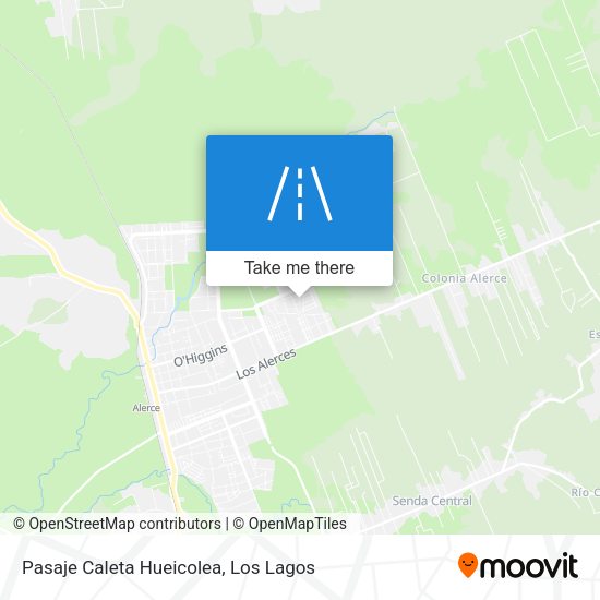 Pasaje Caleta Hueicolea map