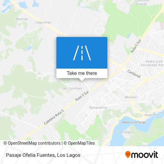 Pasaje Ofelia Fuentes map