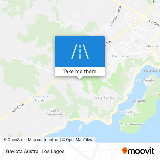 Mapa de Gaviota Austral