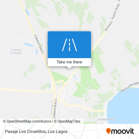 Pasaje Los Ciruelillos map