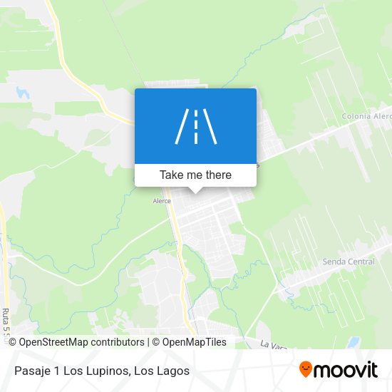 Mapa de Pasaje 1 Los Lupinos