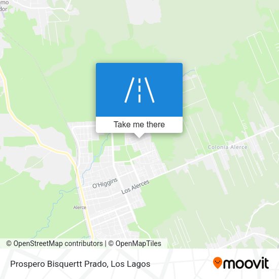 Mapa de Prospero Bisquertt Prado